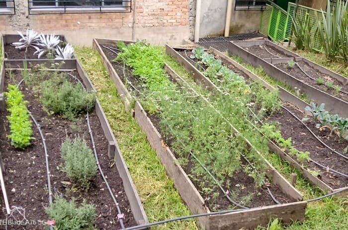 Cumbres verdes colegio monte verde