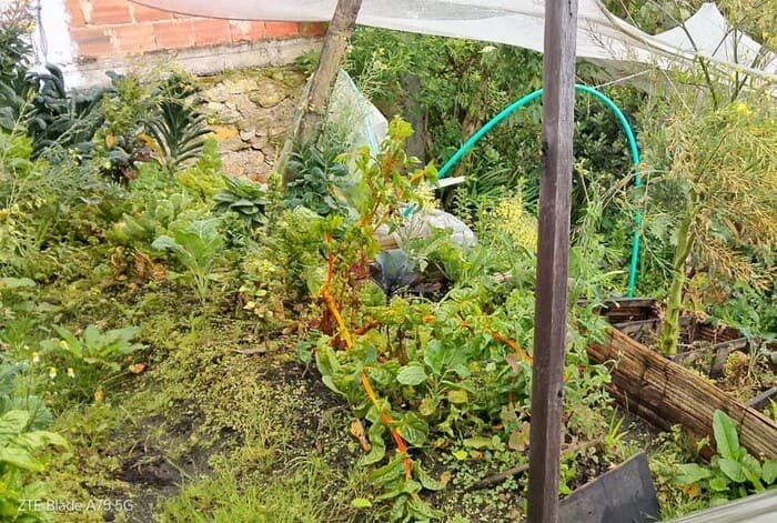 Huerta de los Pinzón