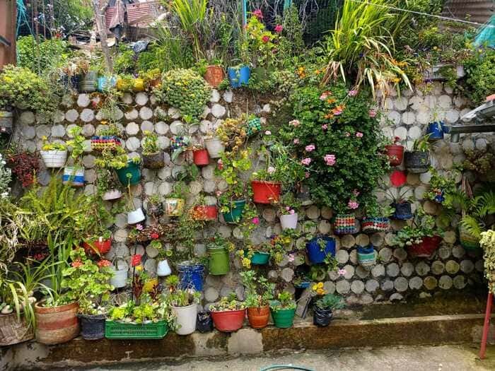 Huerta maya tejedores de la tierra