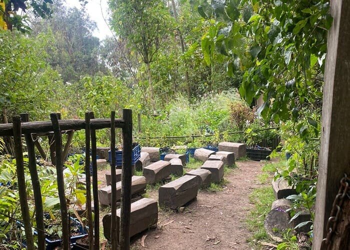 Lupita de los cerros